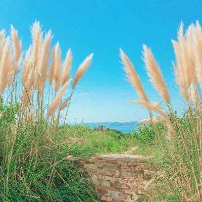 可下分电玩app下载