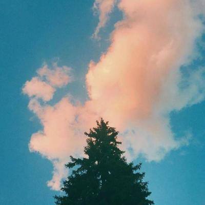 星空体育2024下载下载手机版