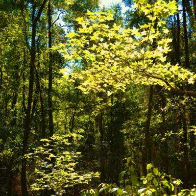 万博官网manbetx-登录入口